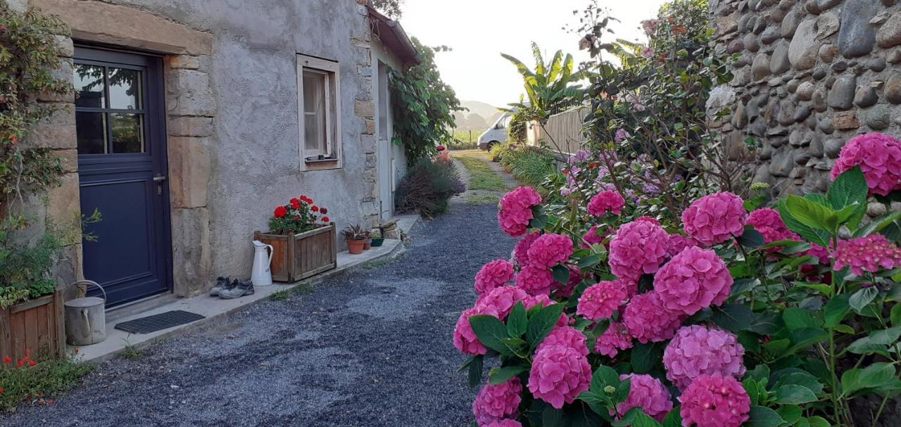 Gite Les Petits Chemins Ledeuix 外观 照片